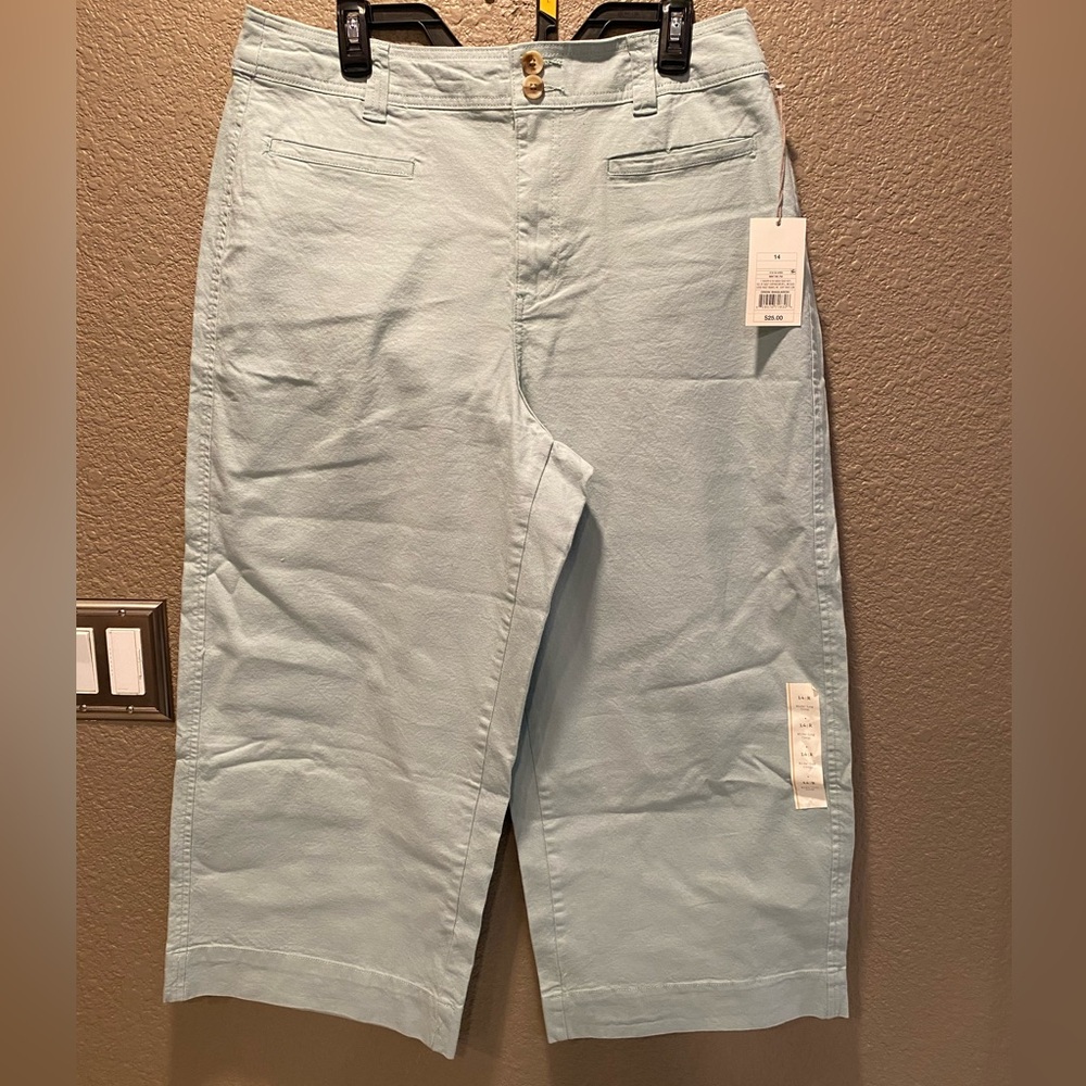 A new day woman’s capri pants.  Pastel blue/green.  NWT